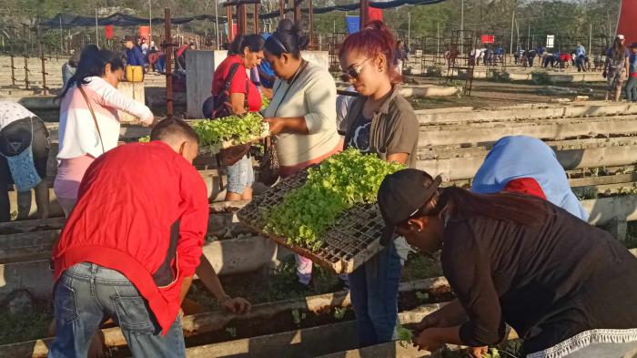 Jornada productiva y patriótica en La Habana (+Fotos)