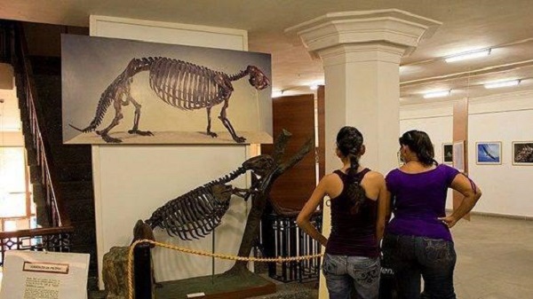 Museo Nacional de Historia Natural invita a participar en programa de actividades por Semana de receso docente