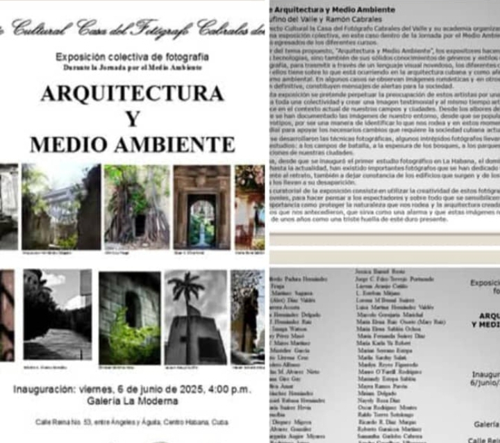 noticia