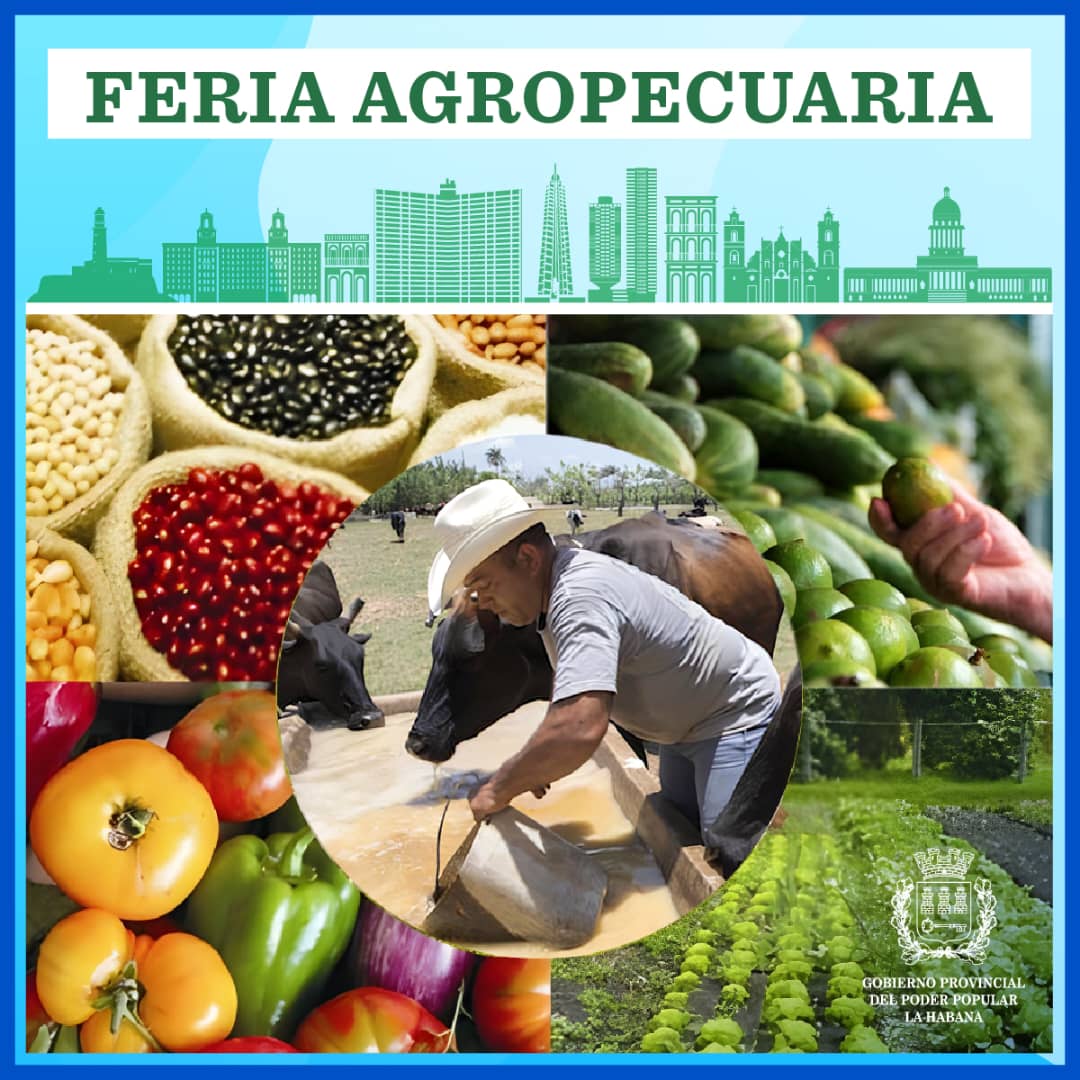 Ferias agropecuarias en los 15 municipios de La Habana el próximo 18 de octubre