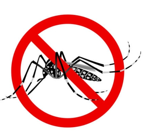 Innovación cubana al servicio de la lucha contra el chikungunya