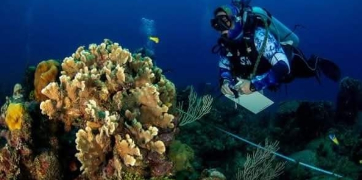 Extiende Cuba programas de ciencia e innovación hasta 2028