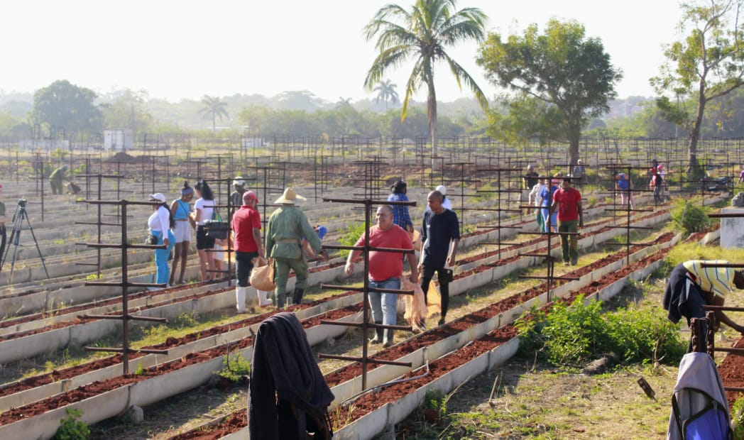 Organopónico El Roble en Guanabacoa. Foto: Arianna Cecilia Figueredo Ruiz Organopónico El Roble en Guanabacoa. Foto: Arianna Cecilia Figueredo Ruiz