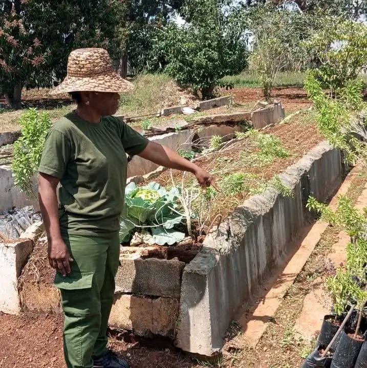Finca La Milagrosa: Escenario clave para la formación agroecológica y la investigación colaborativa