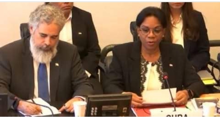 "Cuba defiende en Ginebra logros y desafíos contra el racismo"