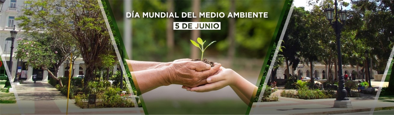 categoria.title