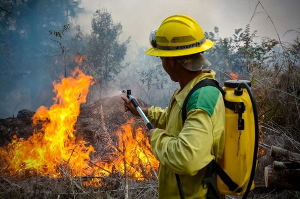 Concluirá el domingo Semana Nacional de Protección contra Incendios