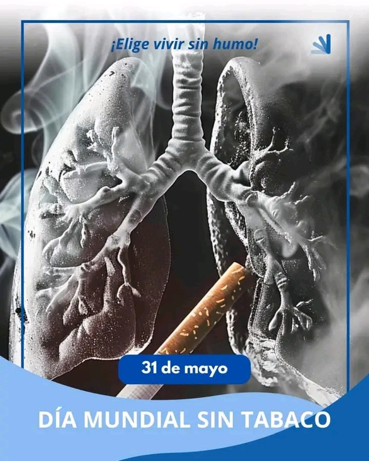 Día Mundial sin Tabaco: Un llamado global para priorizar la salud y el aire limpio