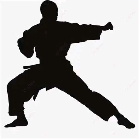 Desarrollan con éxito en La Habana evento de Artes Marciales