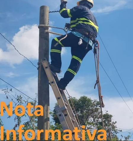 noticia